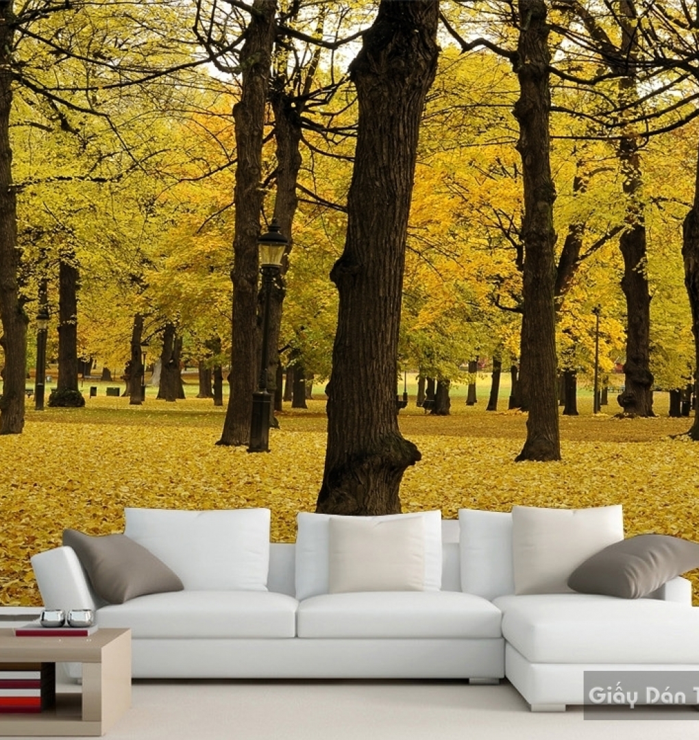 Natural wall paintings Tr046