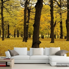 Natural wall paintings Tr046