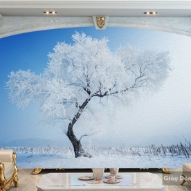 Natural wall paintings Tr049