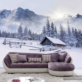 Natural wall paintings Tr050