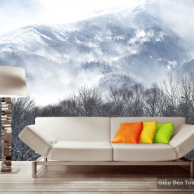 Natural wall paintings Tr053