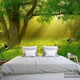 Natural wall paintings Tr062