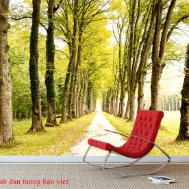 Wallpaper of natural landscapes tr308