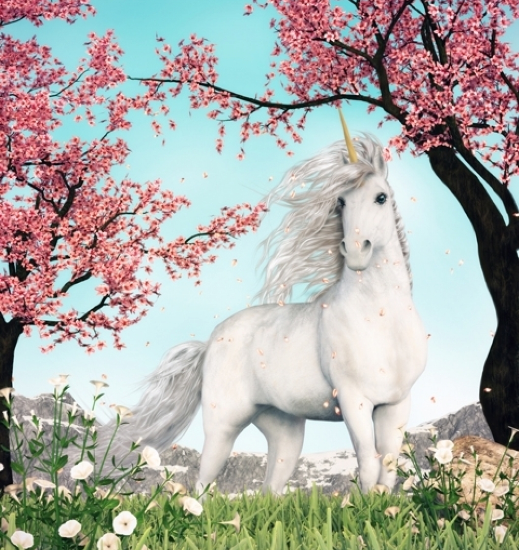 3D Wallpaper Paintings for Children CA 1506-3