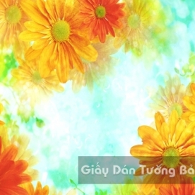 3D Wallpaper Children CD009-2