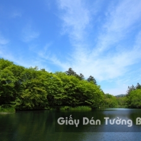 3D Wallpaper Nature Landscape Mountain River LK 1501-20