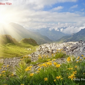 Murals of M049 mountain river landscape