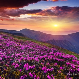 Murals of mountain river landscape M052