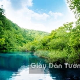 3D Waterfall Wallpaper WF 1501-3