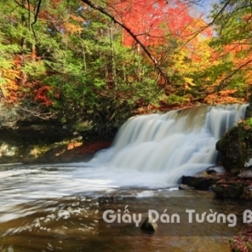 3D Waterfall Wallpaper WF 1502-13