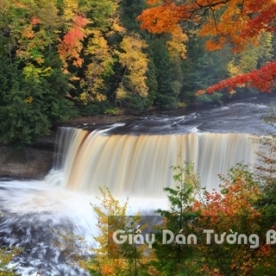 3D Waterfall Wallpaper WF 1502-15