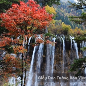 3D Waterfall Wallpaper WF 1502-6