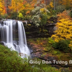 3D Waterfall Wallpaper WF 1502-8