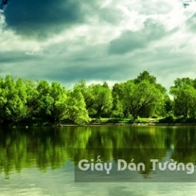 Waterfall 3D Wallpaper WF001-1