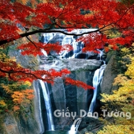 Waterfall 3D Wallpaper WF001-6