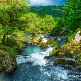 Wall paintings of waterfall W113