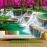 Beautiful waterfall wall paintings w194