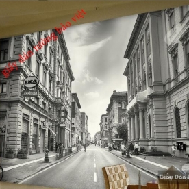 3D wall paintings for cafe Fm086