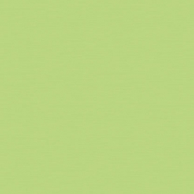 Giấy dán tường hàn quốc phòng trẻ em 5156-4