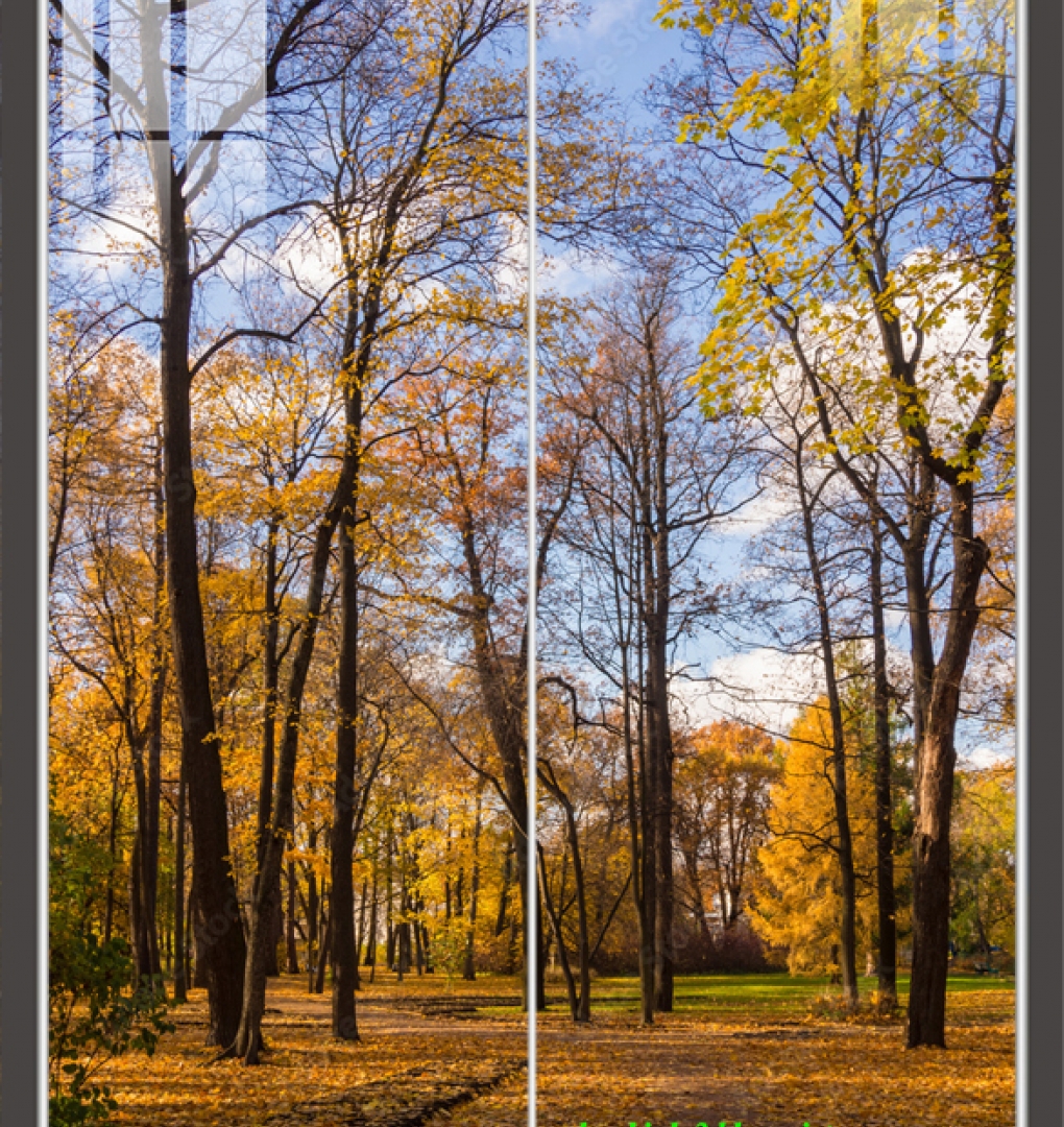 Tranh dán kính 3d 2 mặt n2026-14