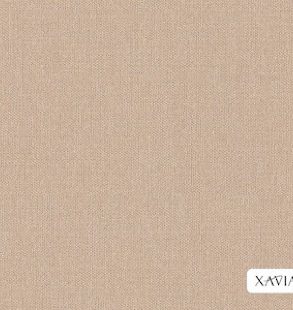 Giấy dán tường hàn quốc xavia 3902-3