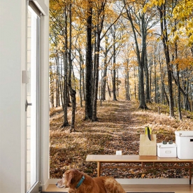 Tranh dán kính k379