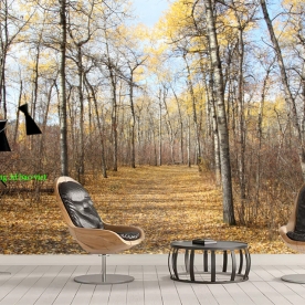 Tranh dán tường phong cảnh thiên nhiên n2004-84