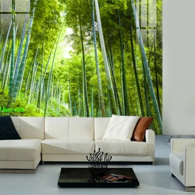 Tranh dán kính 3d 2 mặt rừng tre n2004-220