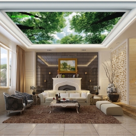 Tranh dán tường 3d dán trần nhà n2004-118