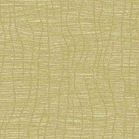 Giấy dán tường hàn quốc JCD 5003-4