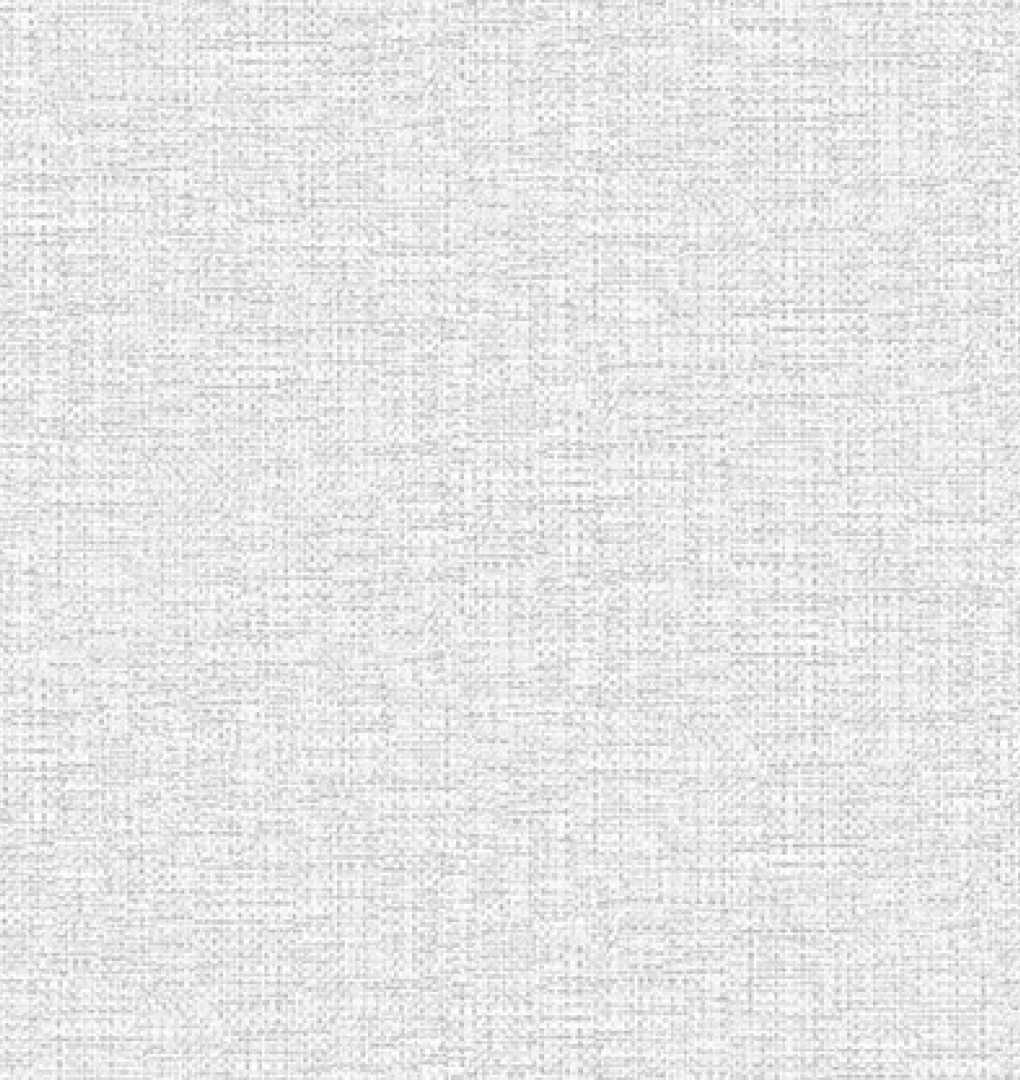 Giấy dán tường hàn quốc newluck 6010-3