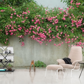 Giấy dán tường n2004-303