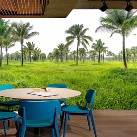 Tranh dán tường phong cảnh thiên nhiên 3d tr380