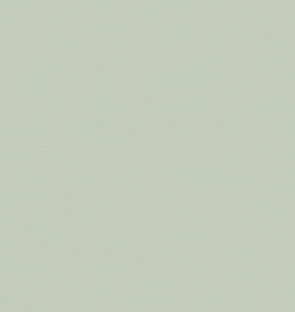 Giấy dán tường hàn quốc promise 52505-5