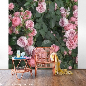 Tranh dán tường phong cảnh thiên nhiên h289