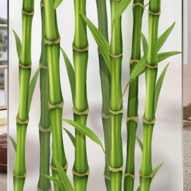 Decal dán kính cao cấp se009