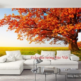 Giấy dán tường Tr147