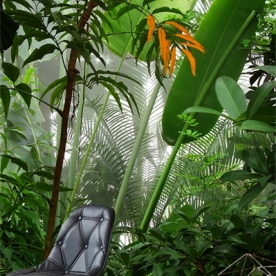 Giấy dán tường Tr201