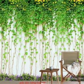 Giấy dán tường dây leo h1883