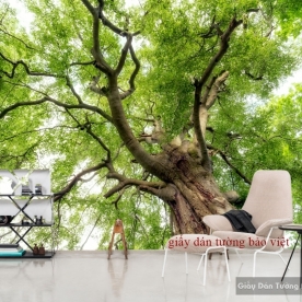 Giấy dán tường đẹp Tr083