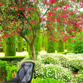 Giấy dán tường đẹp Tr092