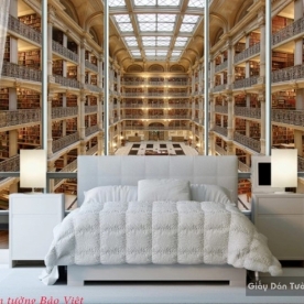 Giấy dán tường hình thư viện v019