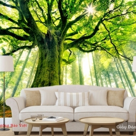 Giấy dán tường phong cảnh đẹp Tr191