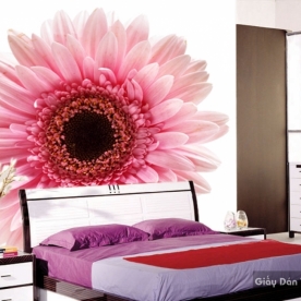 Giấy Dán Tường 3D FLMC1503-1