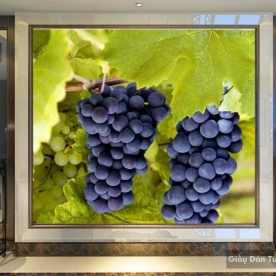 Giấy dán tường 3D H053