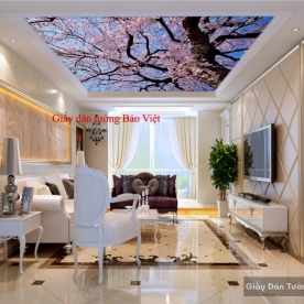 Giấy dán tường 3D dán trần nhà C067