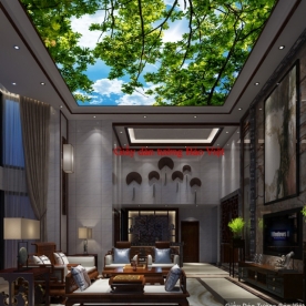 Giấy dán tường 3D dán trần nhà C073
