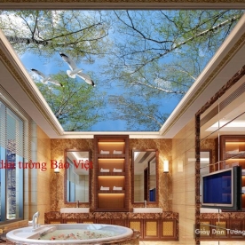 Giấy dán tường 3D dán trần nhà C077