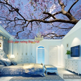 Giấy dán tường 3D dán trần nhà hoa tím C070
