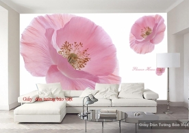 Giấy dán tường 3D đẹp H126